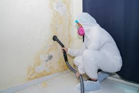 Best Water Damage & Mold Remediation  in USA